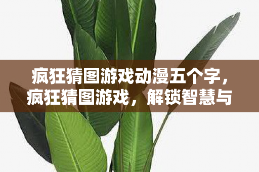 疯狂猜图游戏动漫五个字，疯狂猜图游戏，解锁智慧与创意的无限可能
