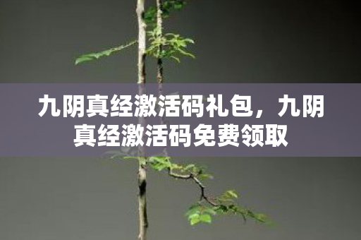 九阴真经激活码礼包,九阴真经激活码免费领取 九阴真经激活码礼包,九阴真经激活码免费领取
