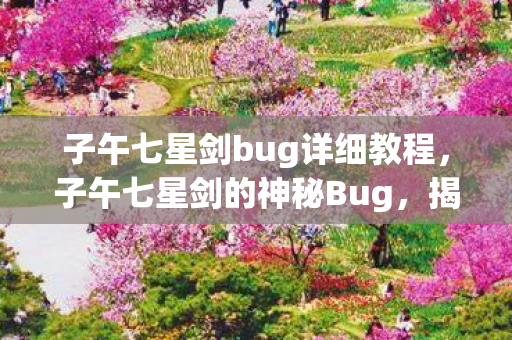 子午七星剑bug详细教程，子午七星剑的神秘Bug，揭秘古老剑法的未解之谜