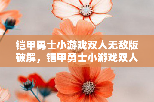 铠甲勇士小游戏双人无敌版破解,铠甲勇士小游戏双人无敌版,携手共战,畅享无限乐趣 铠甲勇士小游戏双人无敌版破解,铠甲勇士小游戏双人无敌版,携手共战,畅享无限乐趣