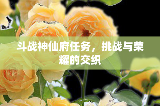 斗战神仙府任务，挑战与荣耀的交织