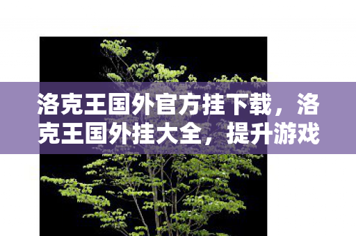 洛克王国外官方挂下载，洛克王国外挂大全，提升游戏体验的神奇工具