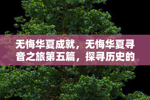 无悔华夏成就，无悔华夏寻音之旅第五篇，探寻历史的音符
