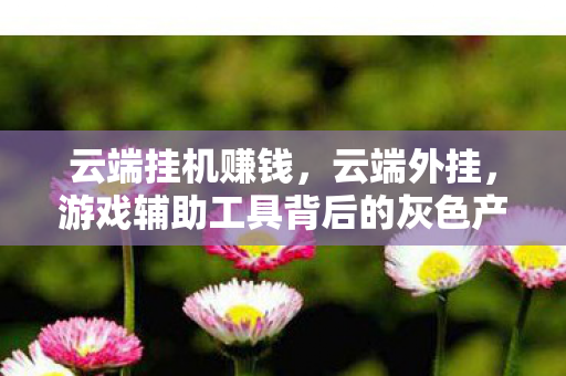 云端挂机赚钱，云端外挂，游戏辅助工具背后的灰色产业链