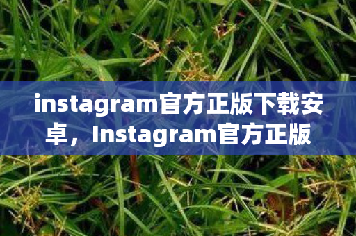 instagram官方正版下载安卓，Instagram官方正版下载，安全、便捷地享受全球社交盛宴