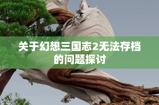 关于幻想三国志2无法存档的问题探讨