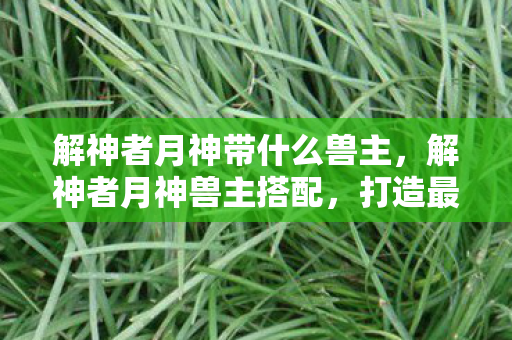 解神者月神带什么兽主，解神者月神兽主搭配，打造最强阵容，解锁无限可能