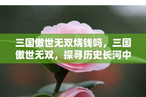 三国傲世无双烧钱吗，三国傲世无双，探寻历史长河中的英雄豪情