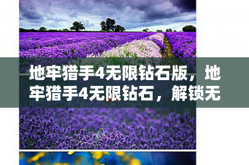 地牢猎手4无限钻石版，地牢猎手4无限钻石，解锁无限可能的冒险之旅