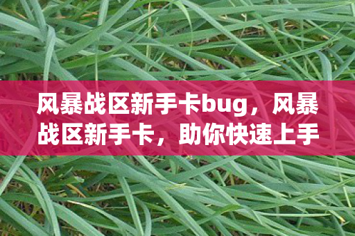 风暴战区新手卡bug，风暴战区新手卡，助你快速上手，畅游战场
