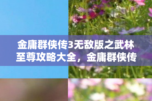 金庸群侠传3无敌版之武林至尊攻略大全，金庸群侠传3无敌版之武林至尊攻略