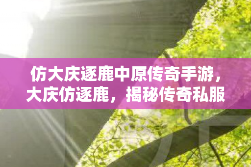 仿大庆逐鹿中原传奇手游,大庆仿逐鹿,揭秘传奇私服的独特魅力与玩家心声 仿大庆逐鹿中原传奇手游,大庆仿逐鹿,揭秘传奇私服的独特魅力与玩家心声