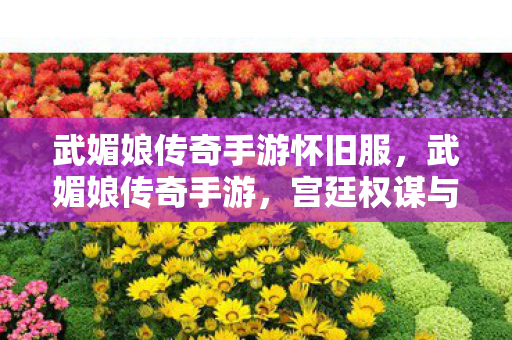 武媚娘传奇手游怀旧服，武媚娘传奇手游，宫廷权谋与绝美服饰的沉浸式体验