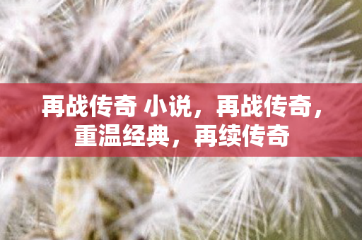 再战传奇 小说，再战传奇，重温经典，再续传奇