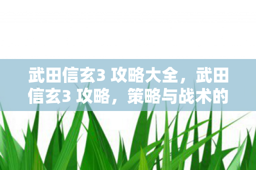 武田信玄3 攻略大全,武田信玄3 攻略,策略与战术的深度解析 武田信玄3 攻略大全,武田信玄3 攻略,策略与战术的深度解析