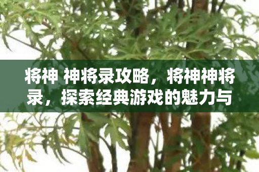 将神 神将录攻略，将神神将录，探索经典游戏的魅力与传承