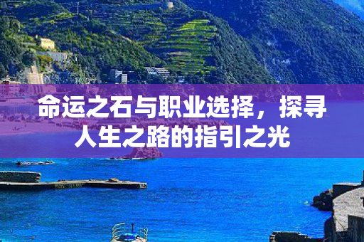 命运之石与职业选择，探寻人生之路的指引之光