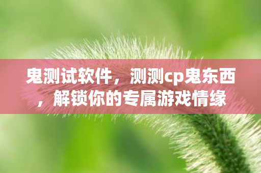 鬼测试软件，测测cp鬼东西，解锁你的专属游戏情缘