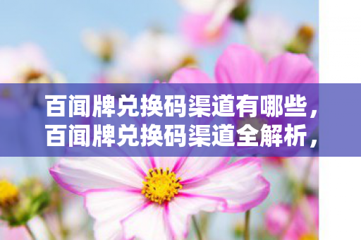 百闻牌兑换码渠道有哪些，百闻牌兑换码渠道全解析，如何安全、高效地获取兑换码