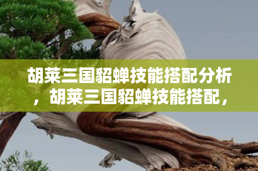 胡莱三国貂蝉技能搭配分析,胡莱三国貂蝉技能搭配,打造最强辅助的秘籍 胡莱三国貂蝉技能搭配分析,胡莱三国貂蝉技能搭配,打造最强辅助的秘籍