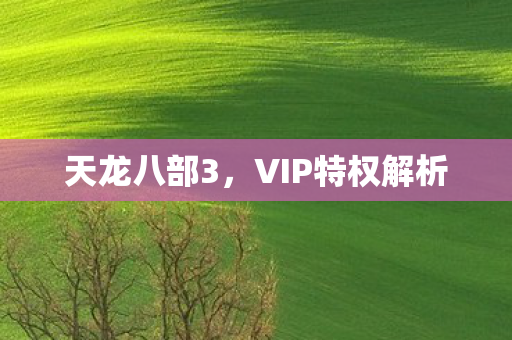 天龙八部3，VIP特权解析