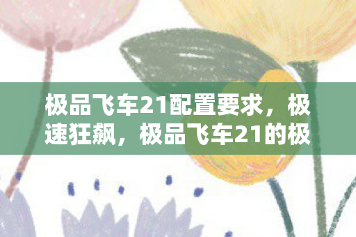 极品飞车21配置要求，极速狂飙，极品飞车21的极致体验