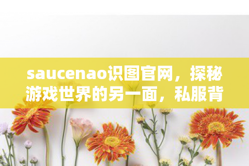 saucenao识图官网，探秘游戏世界的另一面，私服背后的故事