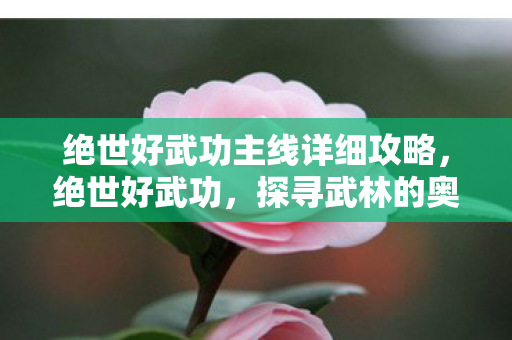 绝世好武功主线详细攻略,绝世好武功,探寻武林的奥秘 绝世好武功主线详细攻略,绝世好武功,探寻武林的奥秘