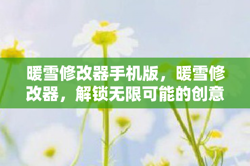 暖雪修改器手机版，暖雪修改器，解锁无限可能的创意工具