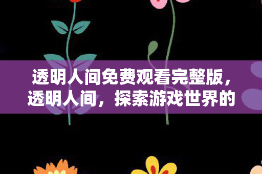 透明人间免费观看完整版,透明人间,探索游戏世界的多元体验 透明人间免费观看完整版,透明人间,探索游戏世界的多元体验