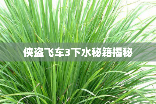 侠盗飞车3下水秘籍揭秘