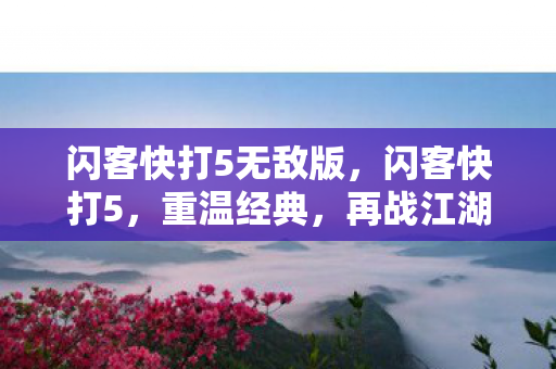 闪客快打5无敌版,闪客快打5,重温经典,再战江湖 闪客快打5无敌版,闪客快打5,重温经典,再战江湖