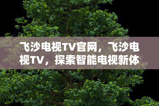 飞沙电视TV官网，飞沙电视TV，探索智能电视新体验