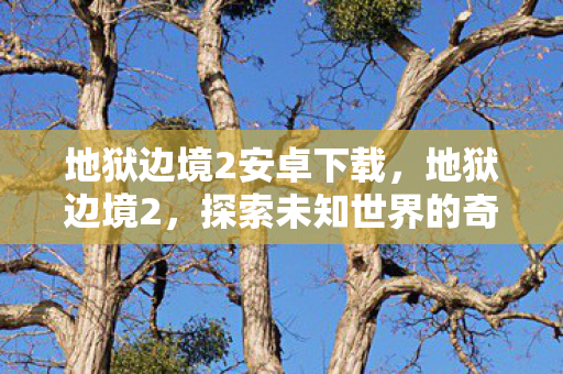 地狱边境2安卓下载，地狱边境2，探索未知世界的奇幻之旅