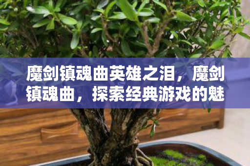 魔剑镇魂曲英雄之泪，魔剑镇魂曲，探索经典游戏的魅力与传承