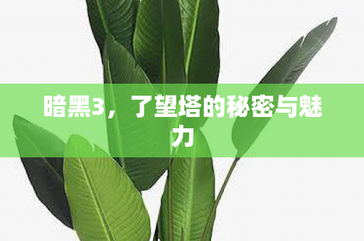 暗黑3,了望塔的秘密与魅力 暗黑3,了望塔的秘密与魅力
