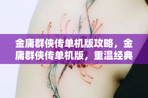 金庸群侠传单机版攻略,金庸群侠传单机版,重温经典,畅游武侠世界 金庸群侠传单机版攻略,金庸群侠传单机版,重温经典,畅游武侠世界