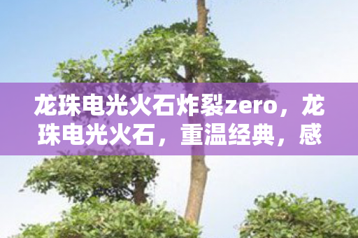 龙珠电光火石炸裂zero，龙珠电光火石，重温经典，感受热血战斗