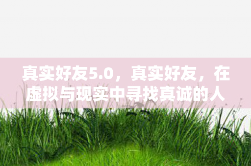 真实好友5.0，真实好友，在虚拟与现实中寻找真诚的人际纽带