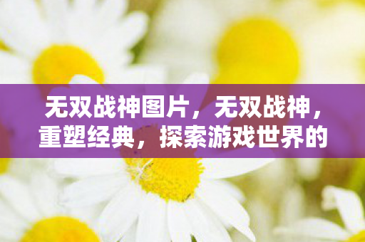 无双战神图片，无双战神，重塑经典，探索游戏世界的无限可能