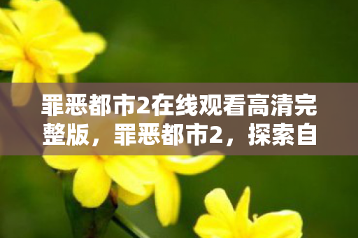 罪恶都市2在线观看高清完整版，罪恶都市2，探索自由与混乱的边界