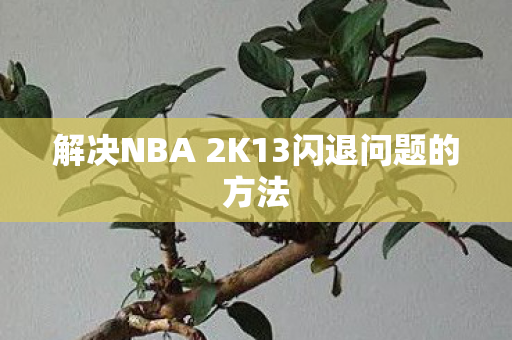 解决NBA 2K13闪退问题的方法