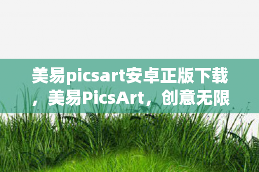 美易picsart安卓正版下载，美易PicsArt，创意无限的图片编辑神器