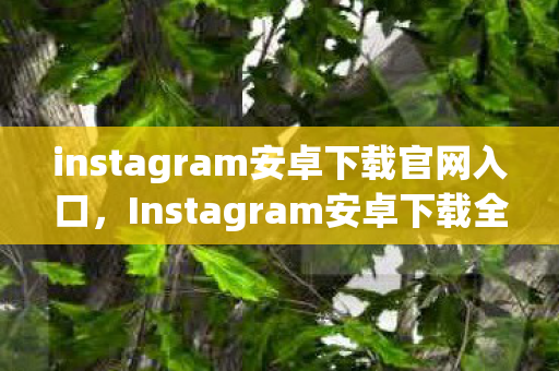 instagram安卓下载官网入口，Instagram安卓下载全攻略，轻松获取官方应用