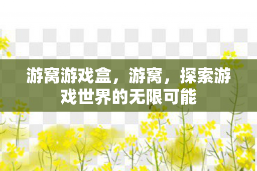 游窝游戏盒，游窝，探索游戏世界的无限可能