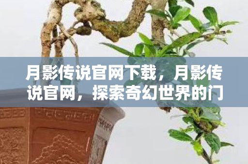 月影传说官网下载，月影传说官网，探索奇幻世界的门户
