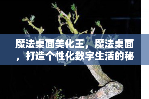 魔法桌面美化王，魔法桌面，打造个性化数字生活的秘密武器