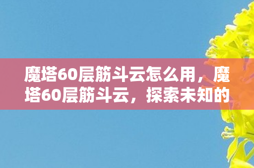 魔塔60层筋斗云怎么用，魔塔60层筋斗云，探索未知的挑战与冒险