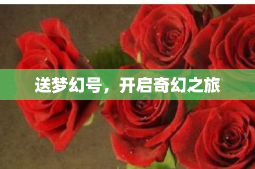 送梦幻号，开启奇幻之旅