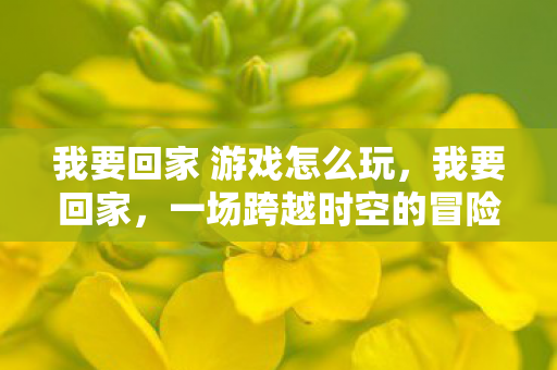 我要回家 游戏怎么玩，我要回家，一场跨越时空的冒险之旅